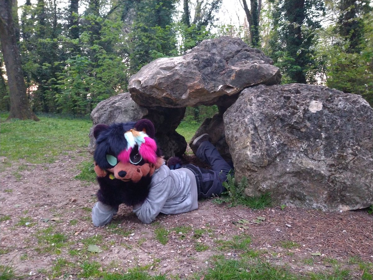 fur_vin's tweet photo. Am late for #FursuitFriday but the pic were taken friday so it counts #fursuit

This is my home now, under the big boulder the size of a small boulder.

✂️ @leohariart
📷 @GwennPetrichor https://t.co/vsT1kklNWS