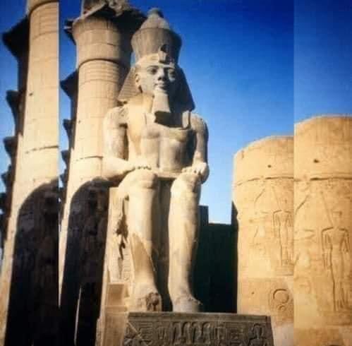 Motlatsi Rakolobe tweet media