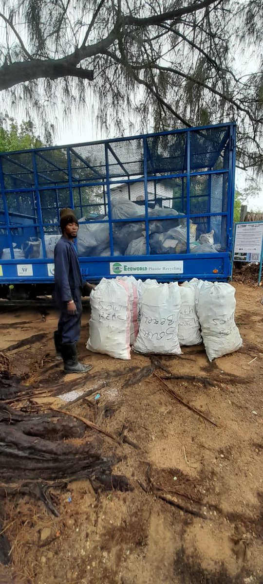 fortreesclub's tweet photo. 🌊🚮 Today we collected 3+ tonnes of ocean plastic from our beaches! 🏖️ Locals creatively transform it into mats, shoes, building materials &amp; more. 🛠️👟 Join us in tackling the 14 million tonnes of ocean plastic! ♻️🌍 #CleanOurOceans #UpcyclePlastic 
https://t.co/PvBYmyhMrg https://t.co/QxhyJKqYCX
