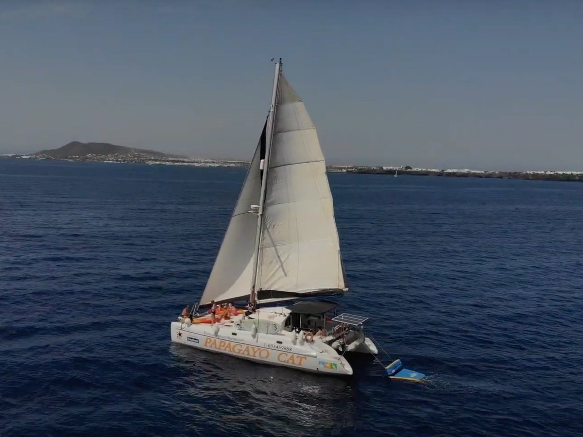 Looking for a boat trip in Lanzarote? 

Book yours now papagayocat.com

#BoatTrips #Lanzarote #PapagayoCat