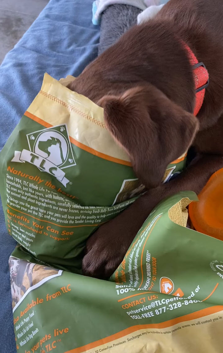 Elizabeth Caley tweet media