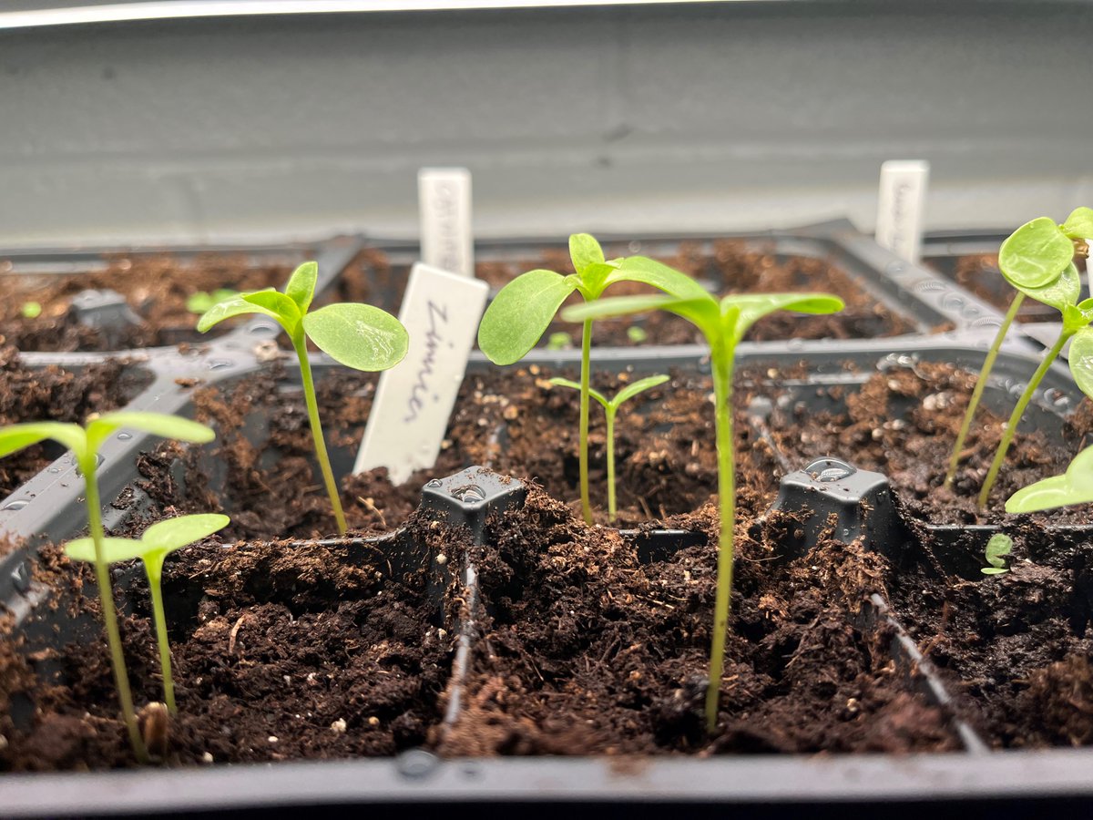 CTStateEdu's tweet photo. Happy #EarthDay! Our CT community colleges have been celebrating all week with guest speakers, clean-up days, garden events, student panels, and more. We're proud of our faculty and students for doing their part to make our world a better place. #ctstate #communitycollegemonth https://t.co/uJGZiYTfgW