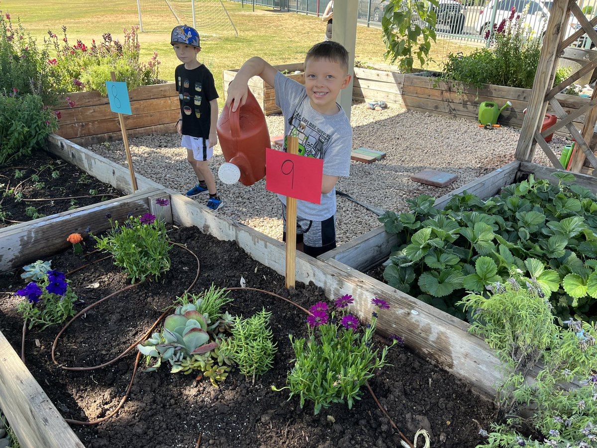 Boulder Bulldogs tweet media