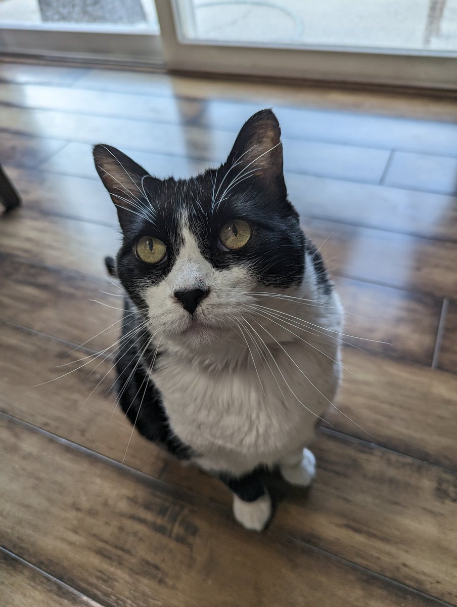 Erin by any other name tweet media