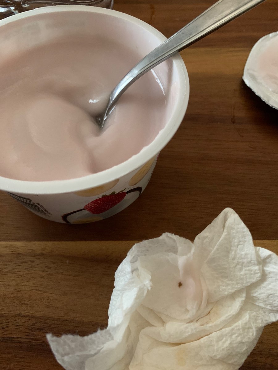 L_Altschul's tweet photo. @So_Delicious I found this weird brown speck in the yogurt? Wondering if there’s an explanation. Yogurt is a month out from expiration! Thanks. https://t.co/p7TCAqXSle