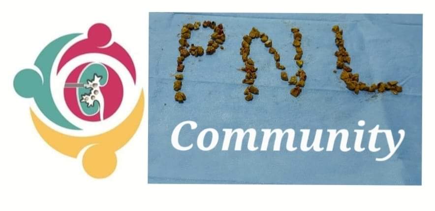 EsamDesoky2's tweet photo. #pnl_community
#PCNL
#mpcnl
#urolithiasis
#pnl_knowledge_sharing https://t.co/QGCuhNNBpS