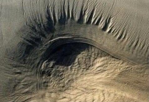 wildflowerdaysi's tweet image. earth is watching us