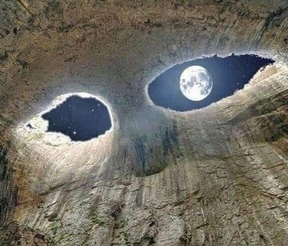 wildflowerdaysi's tweet image. earth is watching us