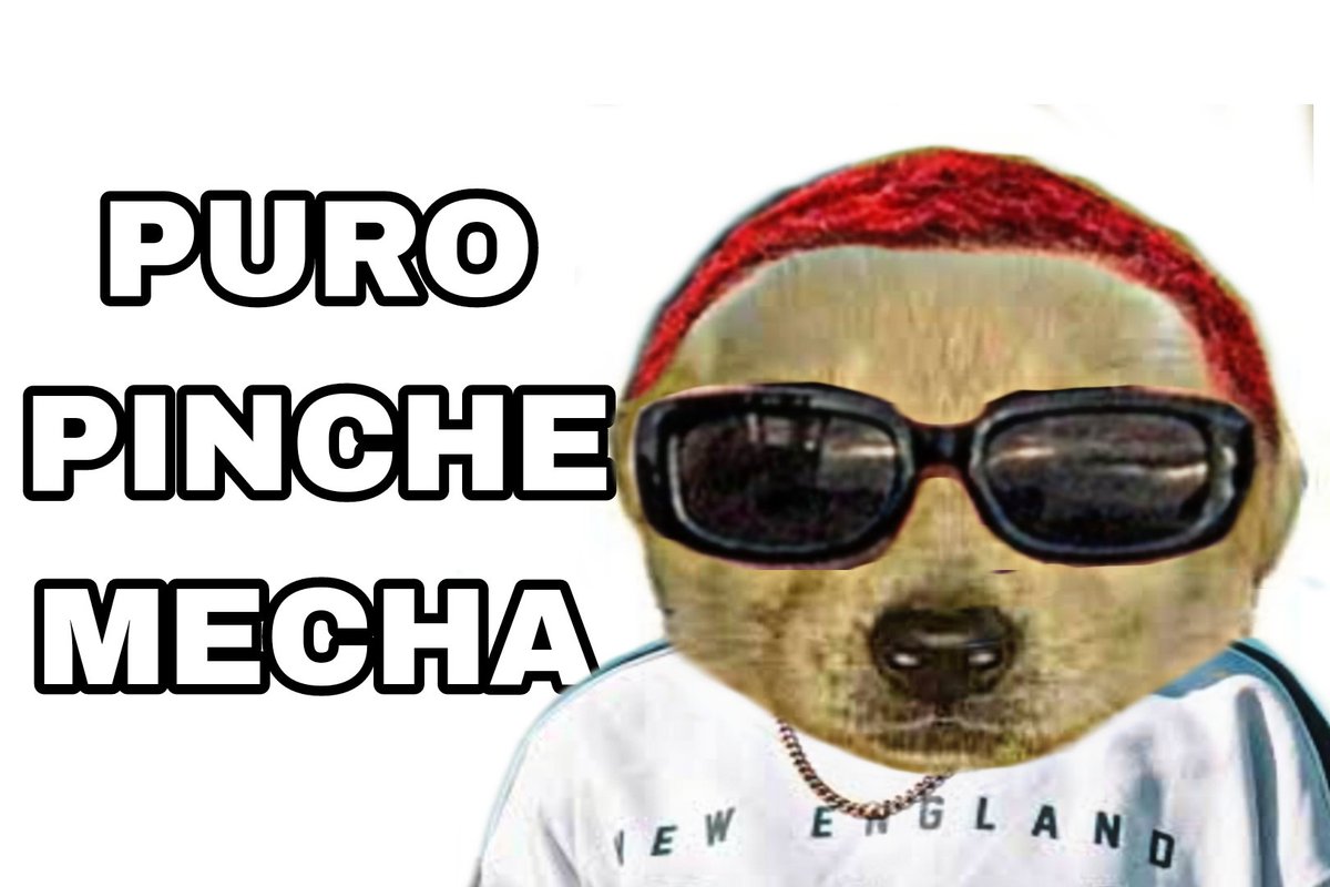 BplayerN00's tweet photo. @Quesadacid https://t.co/YRy7rXUOq5
