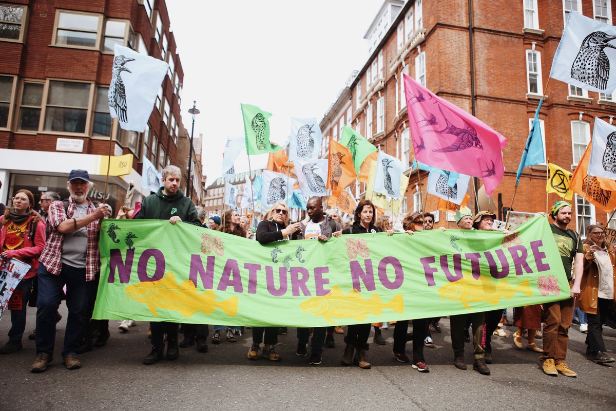 XRebellionUK's tweet photo. 🧵THE BIG ONE JUST GOT BIGGER

Day 2 of #TheBigOne was BIG. Over 60,000 people gathered at the Houses of Parliament on #EarthDay today, uniting for nature. https://t.co/0WkZl7lDJv