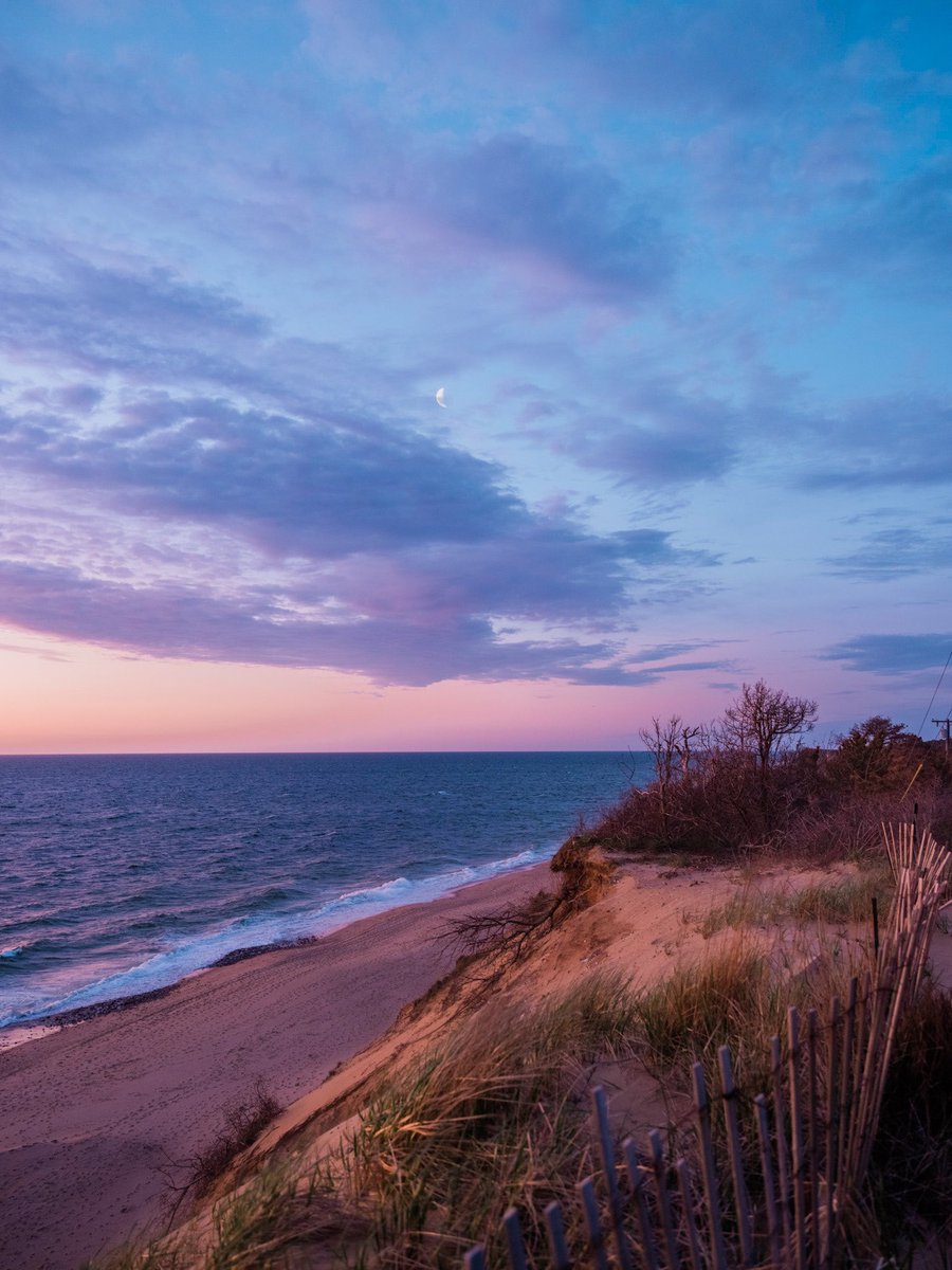 a moment that felt more like a painting 🎨