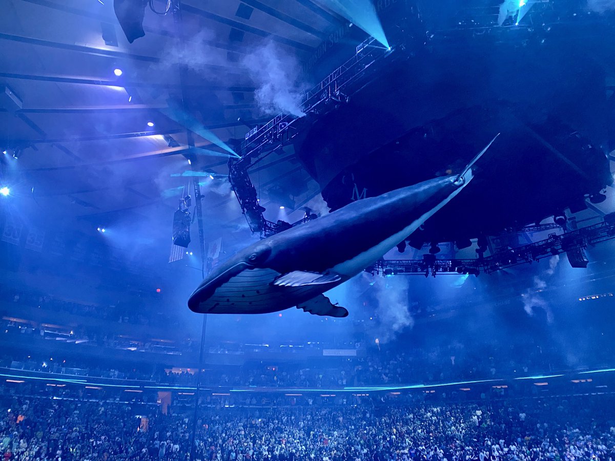 RT if you got covid a year ago today from an unmasked drone whale. #YEMSG