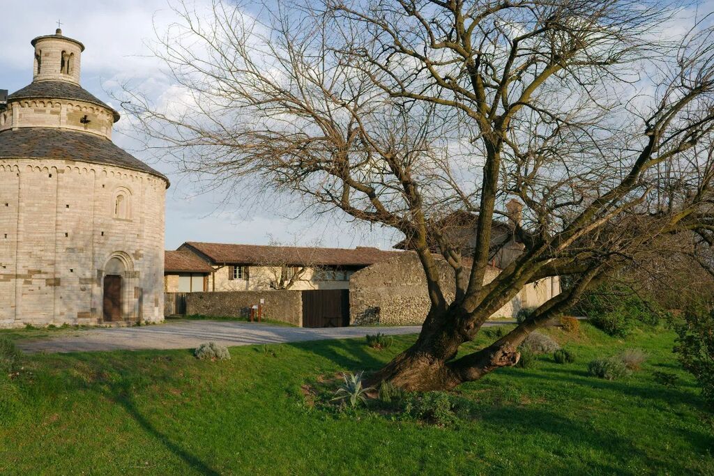 stefano_des's tweet photo. Omaggio al gelso monumentale di San Tomé 
Almenno San Bartolomeo BG
aprile 2023

Le chiese romaniche hanno spesso un albero secolare come custode. La rotonda di San Tomé ha un antico gelso, probabilmente coltivato dai contadini per l'allevamento dei bach… https://t.co/8bujisIFdF https://t.co/gAfQK5b6BK
