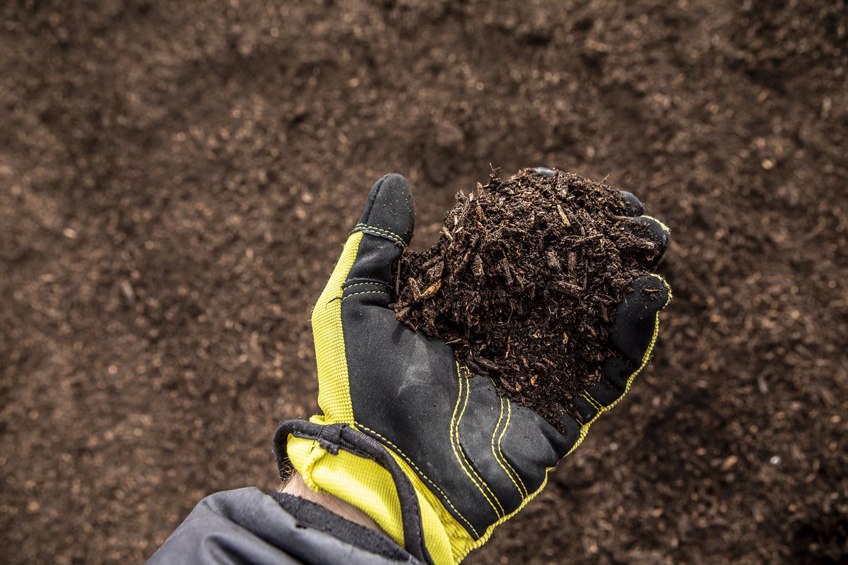 Free compost is now available at the Ambleside and Kennedale Eco Stations! The compost is made from the yard waste collected on yard waste collection days.

Compost piles are self-serve. For instructions on how to pick up the compost and best uses, visit edmonton.ca/compostgiveaway