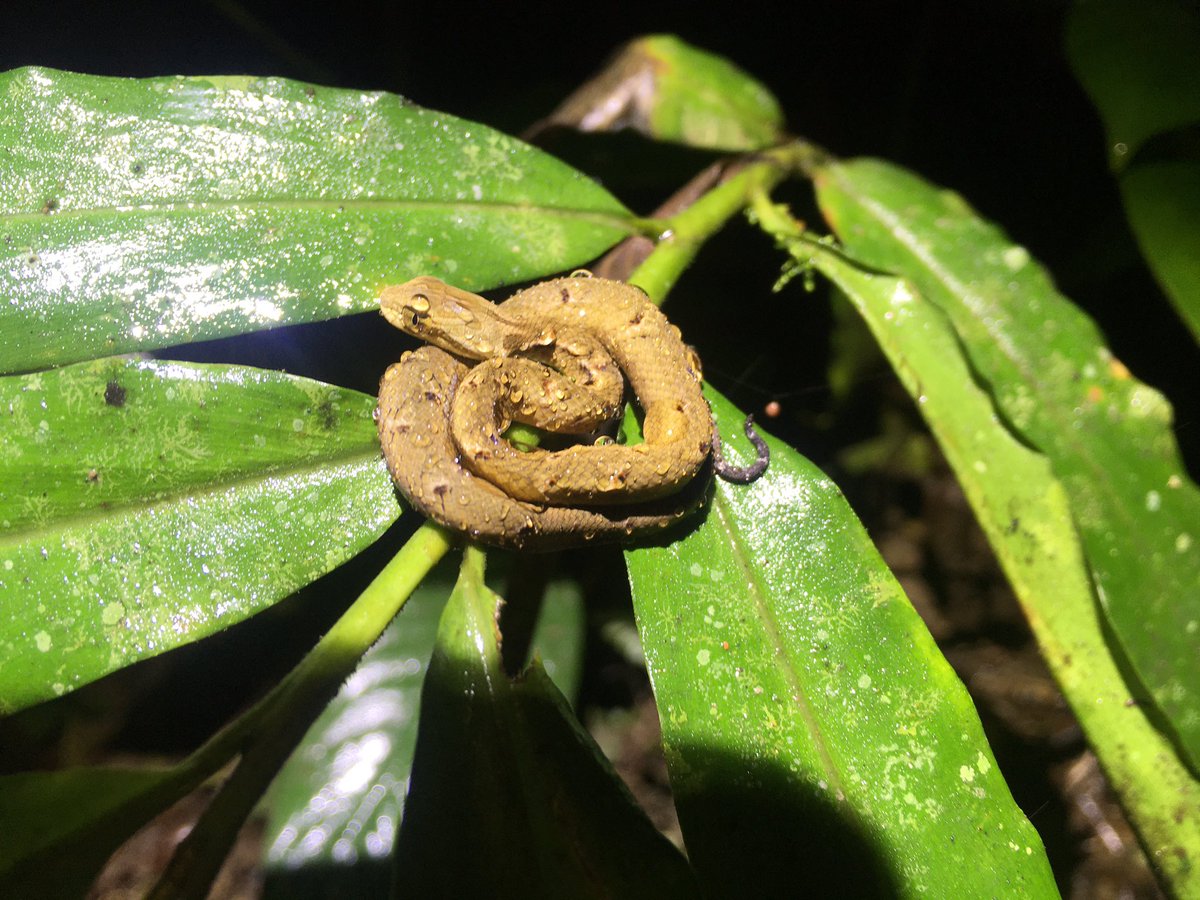 Jennifer Sheridan tweet media