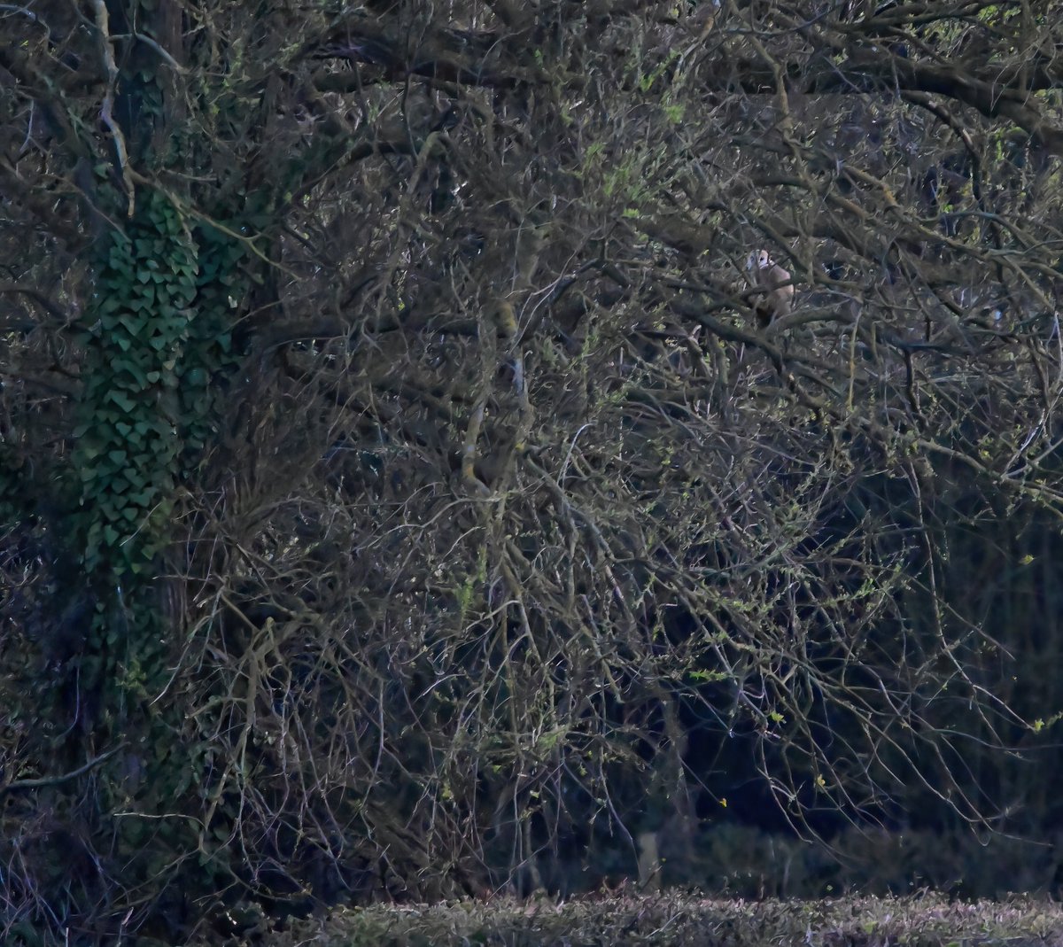 Retweet when you see it! 😁
(Extra points if you know what 'IT' is.. 😊)