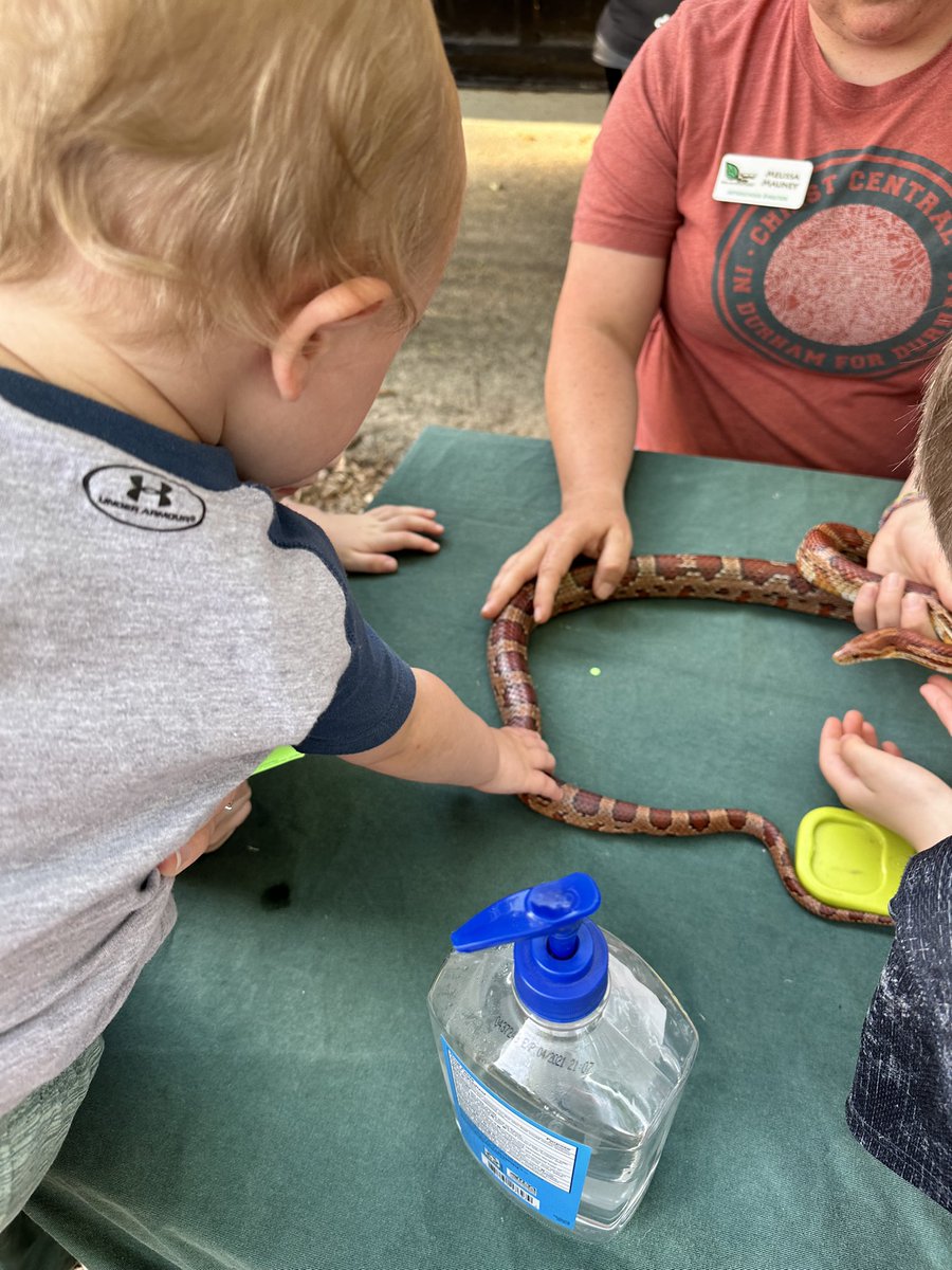 Kirsten Ross tweet media