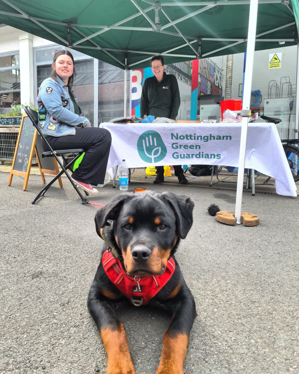 Greenhustlefest's tweet photo. Happy Earth Day humans.. and other beautiful creatures
Loads of new trees and shrubs getting planted at Sneinton Market, Victoria Park and Barker Gate Rest Garden. Plus a few thousand wildflower seeds out via Nottingham Green Guardians 🪱🌱 https://t.co/aU0qh0iOXb