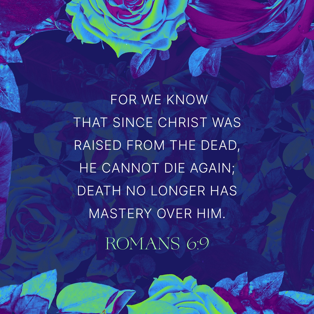 NSCC411's tweet photo. Join us at Church tomorrow for a service at either 9:30a or 11a with Kids Klub (birth -5th grade children's Ministry) available at both services. Student Ministry (6th-12th grades) meets at 11a.

https://t.co/GPdb6cTJ9u https://t.co/S2xLnwNa9C