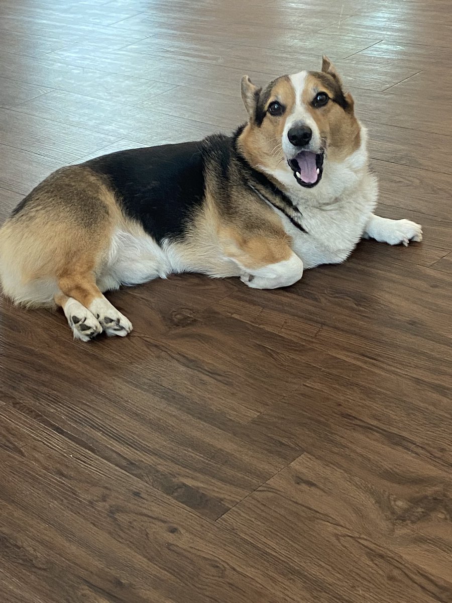 Belverly | Laurore ≥ l0aurore.bsky.social tweet media