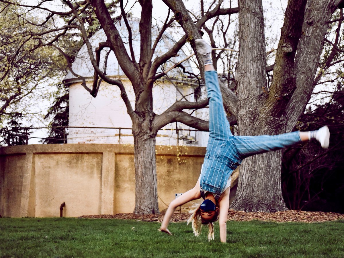 BluejayLife tweet media