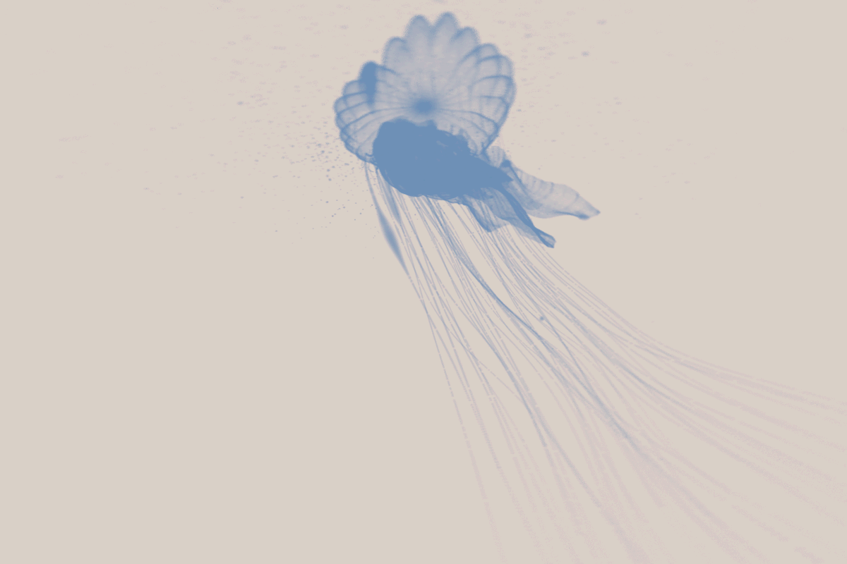 strider5071's tweet photo. Big congratulations to @s_r_r_z_ and @CassonTrenor!

You can see the difference between jellyfish and plastic bag. A turtle does not.

"Turtle Vision" carries a message in the form of 3D generative art. It's an art with a mission!

#Tezos #generativeart #fxhash #GenTPE2023 https://t.co/BRe2AoyQn1