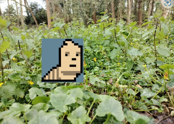 A wild larva lads appears !! <a href="/larvalads/">Larva Lads</a>