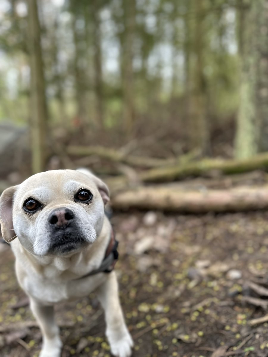 Bruno says “Stop worrying and enjoy the ride”. 

Be more like Bruno.