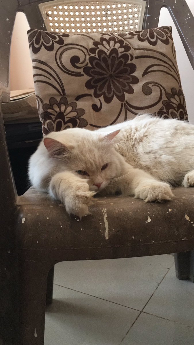 كلنا والله يا بيب😭😭😭
#لا_للحرب  #لازم_تقيف