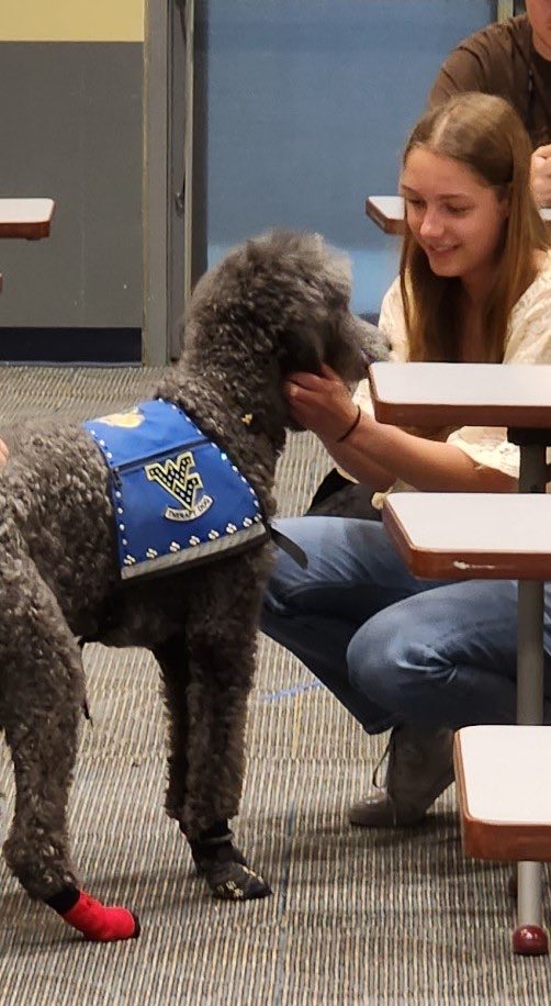 Had a great day reducing ⁦<a href="/WVUStudents/">WVU Students</a>⁩ stress yesterday, as final exams and papers and project deadlines approach!