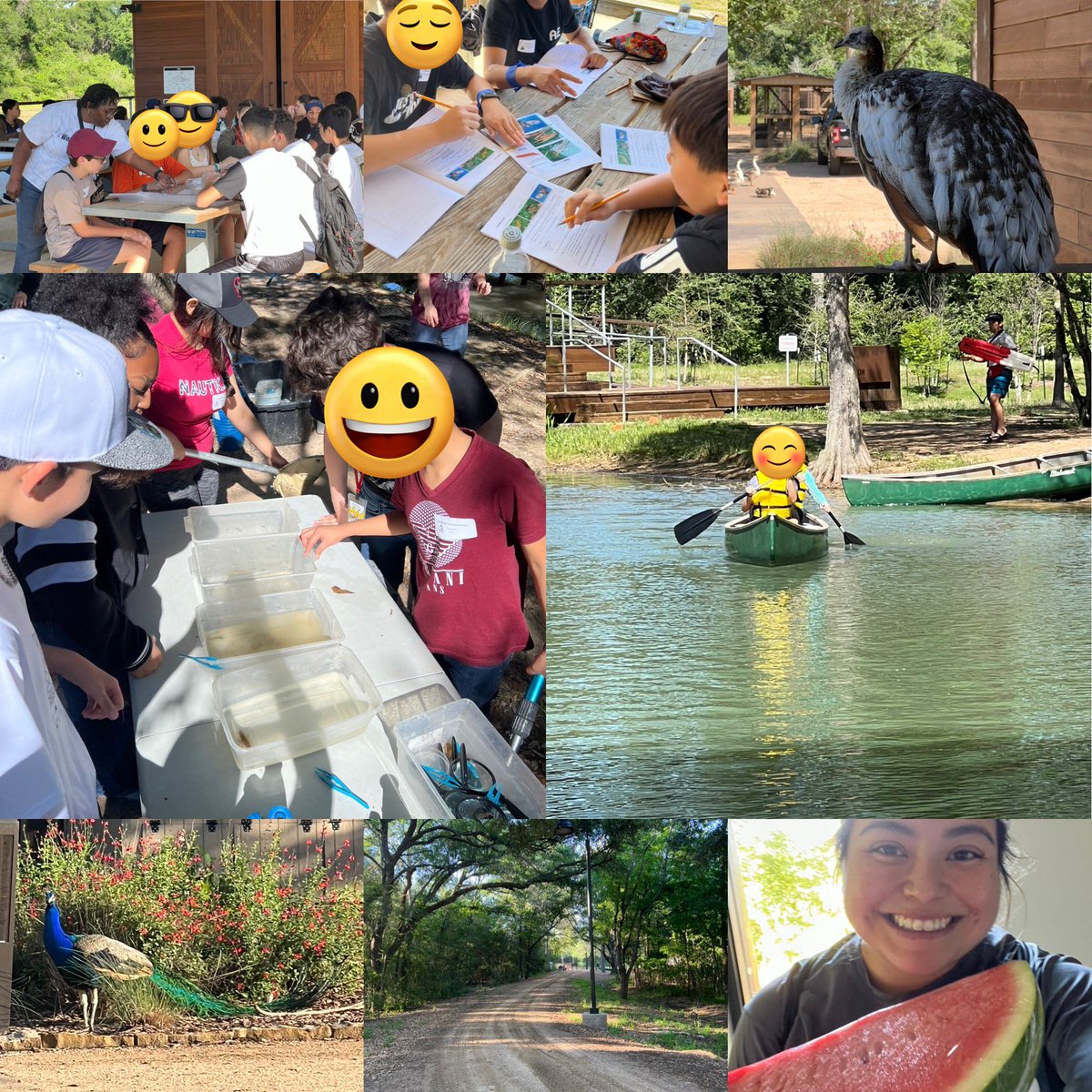 Day 3 of Saturday Science Academy! Huskies to the rescue 🛟 @rsquared145 lead the owl pellet dissection 👩‍🔬 and I was a fruit ninja 🥷  Our Huskies had an amazing day today! @KatyOOL @BYoungHJH @Mrs_Pamela_Long #ScienceStarrs23 #perfectweather #sandía