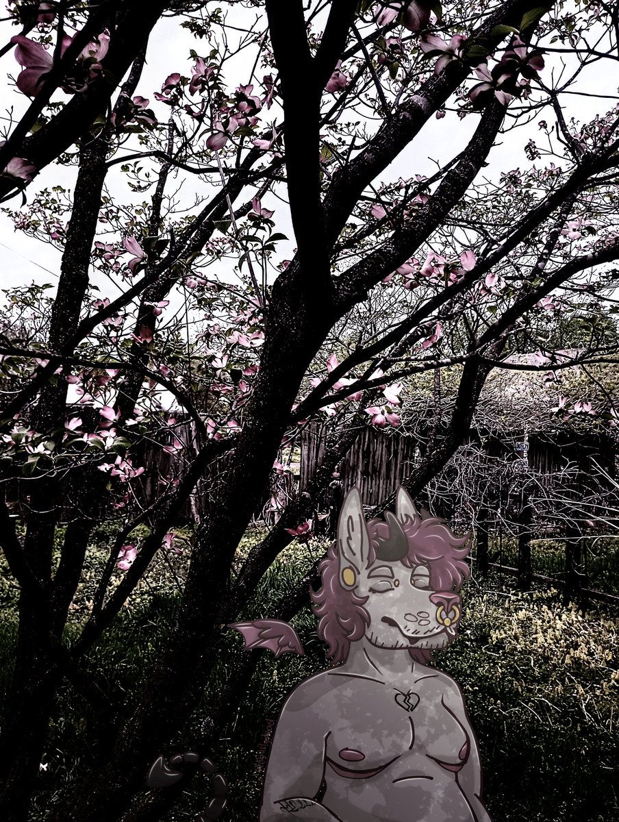 nervouslydead's tweet photo. serenity https://t.co/FCK9aMc86M