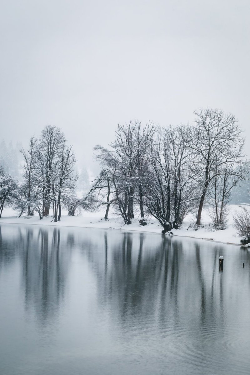 lili_basic's tweet photo. Happy Earth Day! 🌿 4 seasons in 4 images, which one is your favourite? 

#EarthDay #HappyEarthDay #nature #naturelovers #naturephotography #photography #photographylovers https://t.co/uoOgCrfP6l