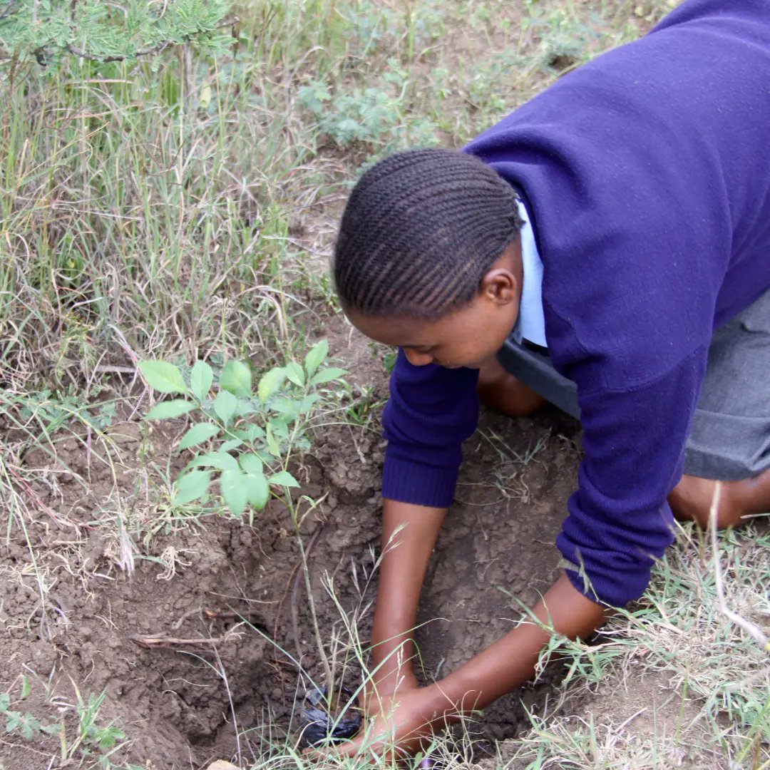 darajaacademy's tweet image. The World Earth Day today reminds us to act (boldly), innovate (broadly), and implement (equitably) for a just world.
Daraja joins the World in calling for Governments, Businesses and Individuals to invest in a better practices for a healthier planet.

#DarajaGirls  #GirlPower