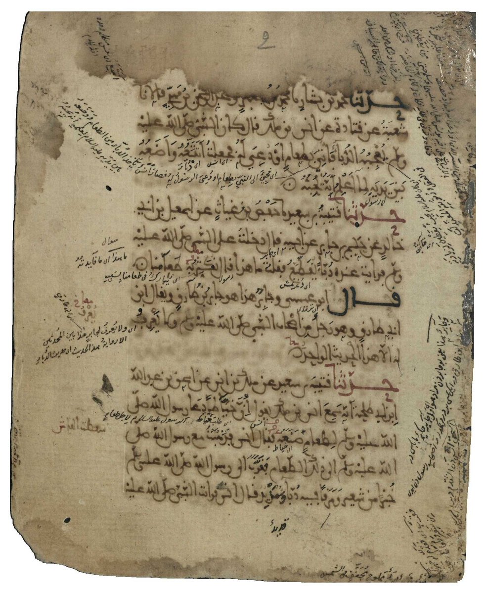 abdelaziz essaouri tweet media