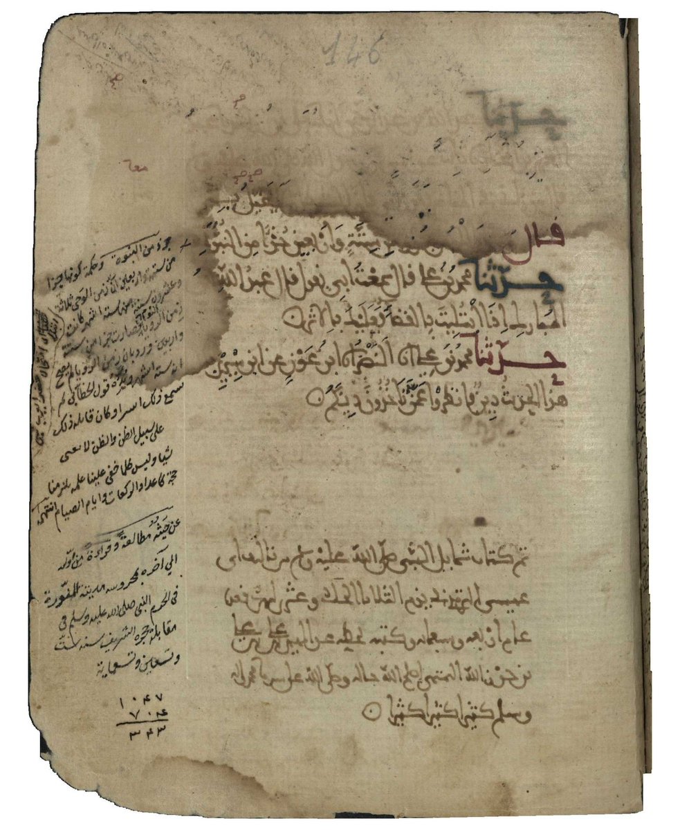 abdelaziz essaouri tweet media