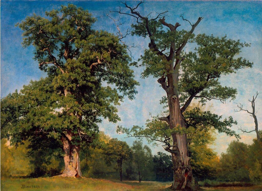 'Pioneers of the Woods, California', (1863) by #AlbertBierstadt
#art #painting #gallery #PL #IFB #California