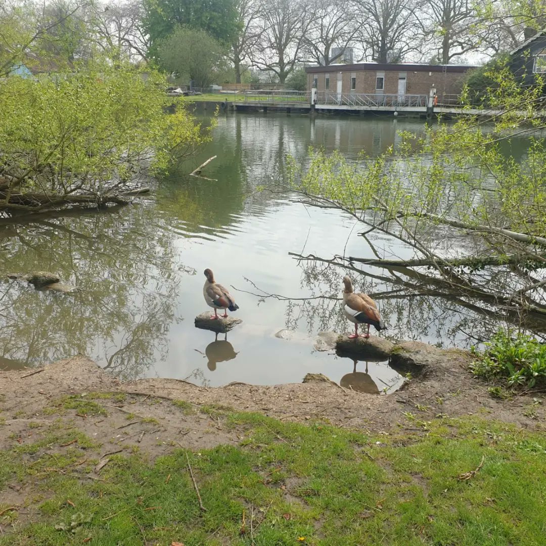 ama_rdg's tweet image. Thanks to Keep Caversham Tidy for all the great work in Thames Ward as we litter picked at View Island today 🙂
There were 26 bags of rubbish, electrical mains supply box, fishing rod reel, barbed wire, 20 syringes,and a plastic chair
 #keepcavershamtidy
