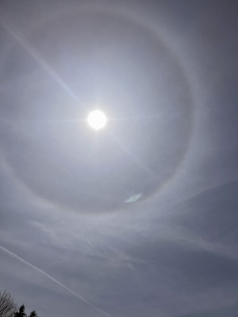 VirginiaLori's tweet photo. In the sky this aft - #sunring
“High, thin cirrus clouds drifting high above your head create the halos you see around the sun or moon. The halos are from tiny ice crystals in Earth's atmosphere. They do it by refracting and reflecting the light.” @earthskyscience https://t.co/ETo0NikdZQ