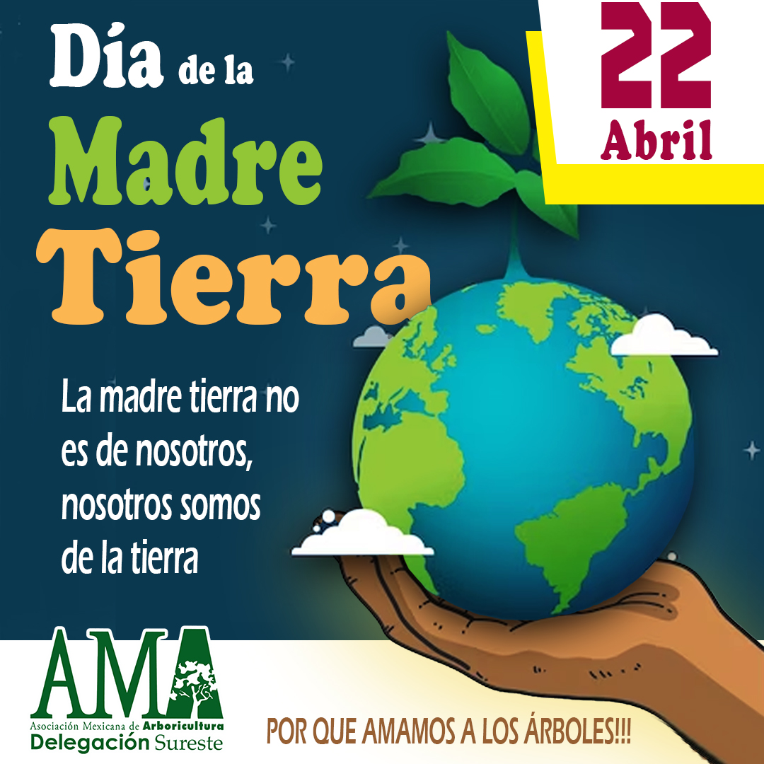 AmaSureste tweet media