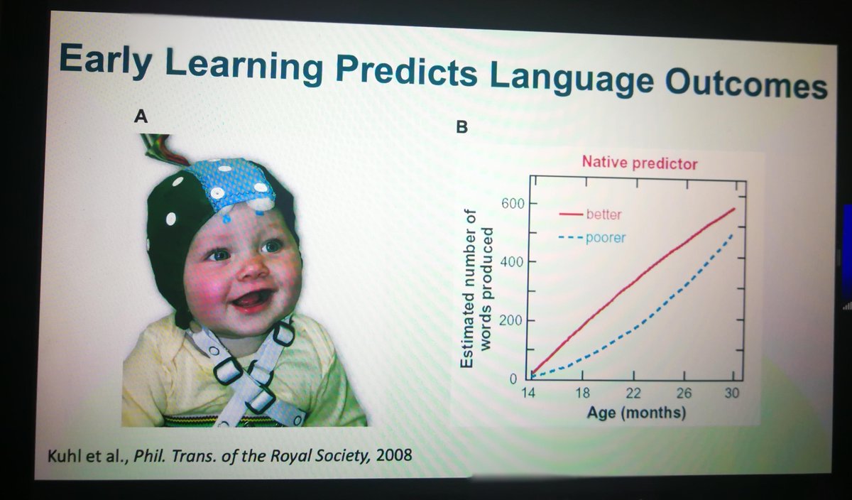 Simona Popa tweet media