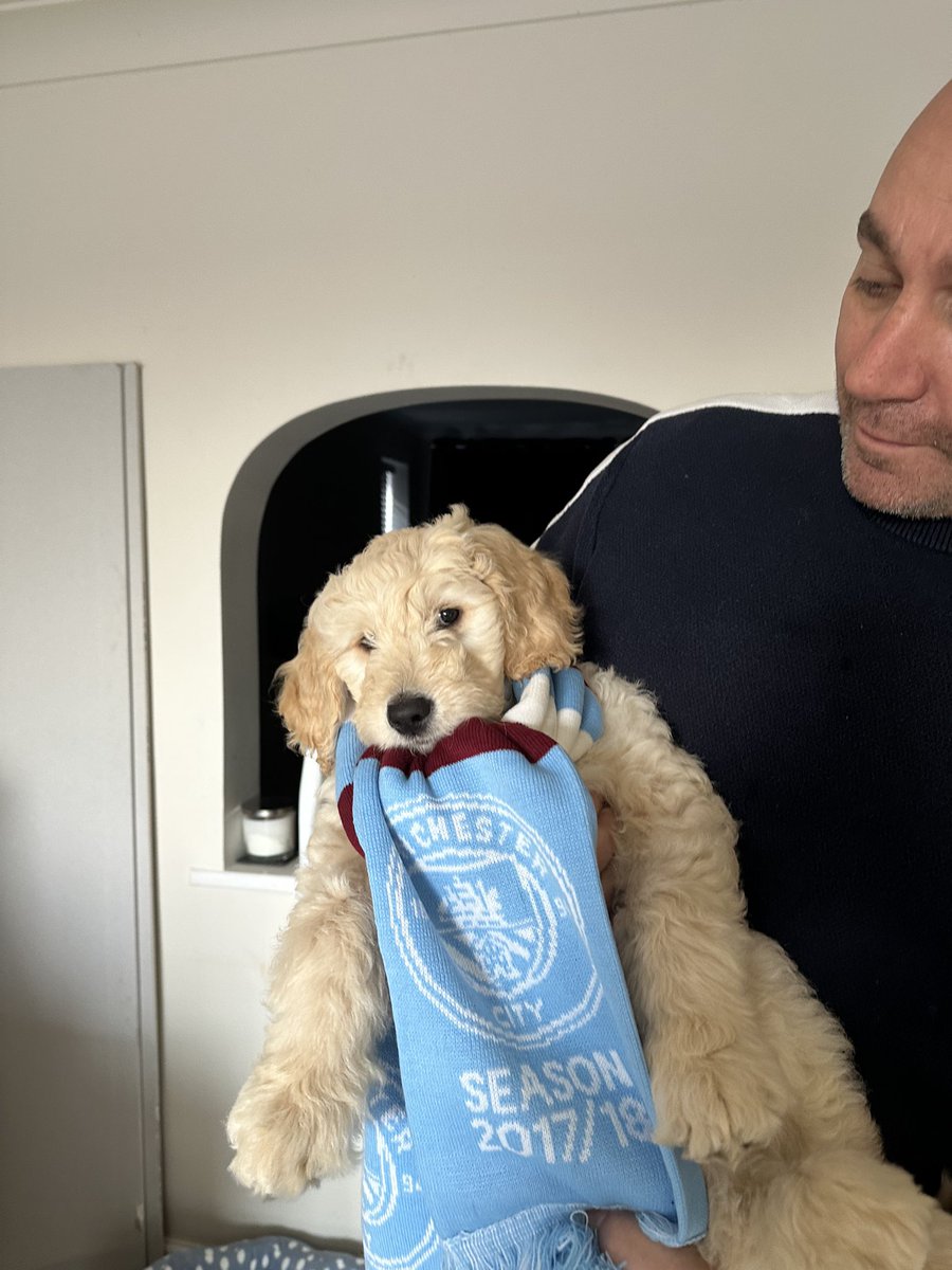 veevcf's tweet photo. @ManCity Rowley 🐶 thinks you can defo do the treble this season! #FACup #ManCity https://t.co/eavDKjUip4
