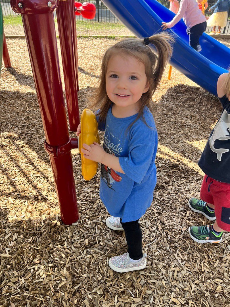 Alex Thompson tweet media