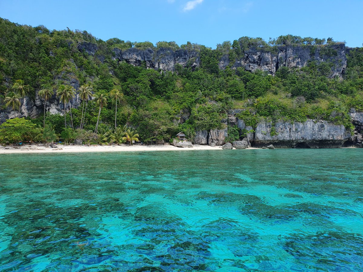 Chris Mackin tweet media