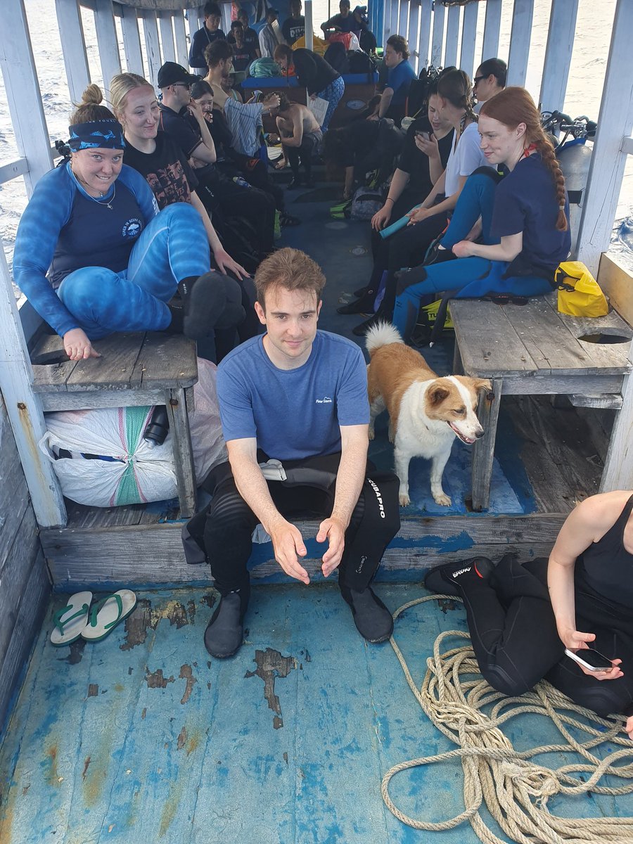 Chris Mackin tweet media