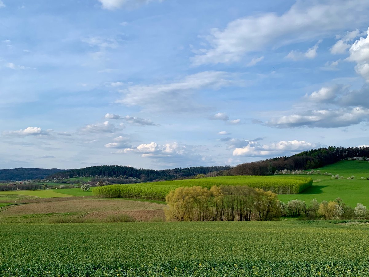 Tsogoeva_Group's tweet image. #SaturdayRun ☀️

 #ChemistsWhoRun