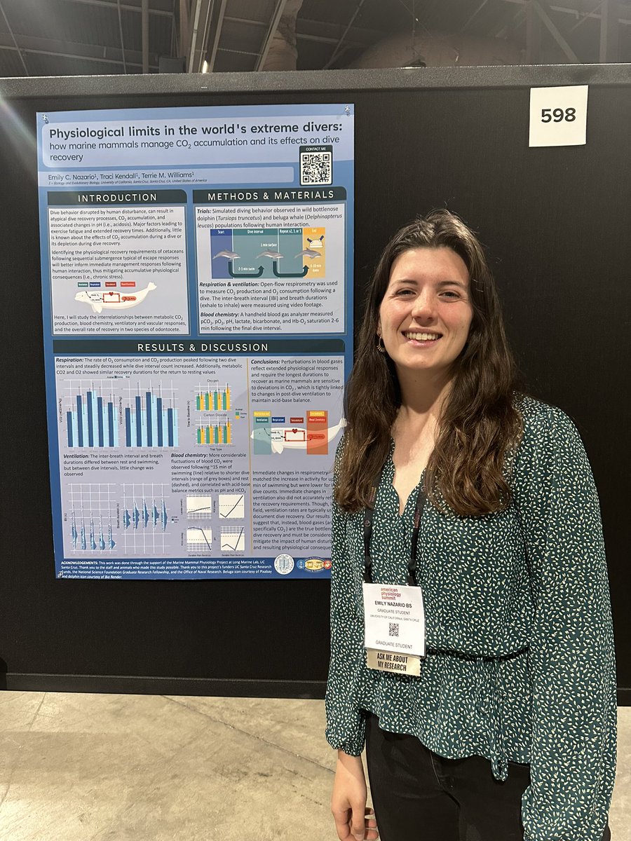 nazarioe11's tweet photo. Find us @APSPhysiology to learn about sleepy seals @jmkendallbar and diving dolphins 🦭⬇️🐬! https://t.co/sPAm7SdgiK