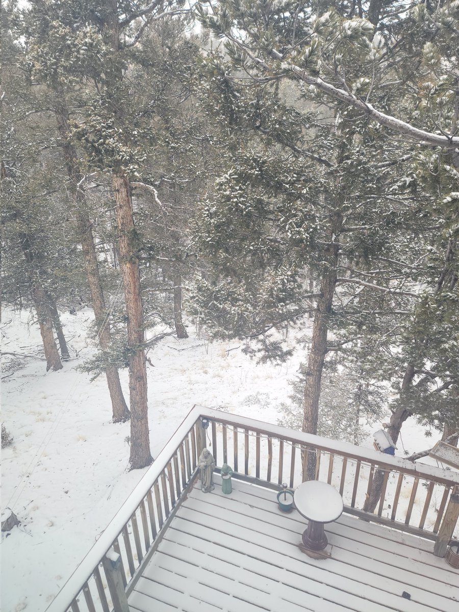 ZadeHart's tweet photo. What's that saying?  "April snow showers kills May flowers," or "April snow doesn't let May flowers grow." I think I prefer the latter. https://t.co/OssHMRGFNk