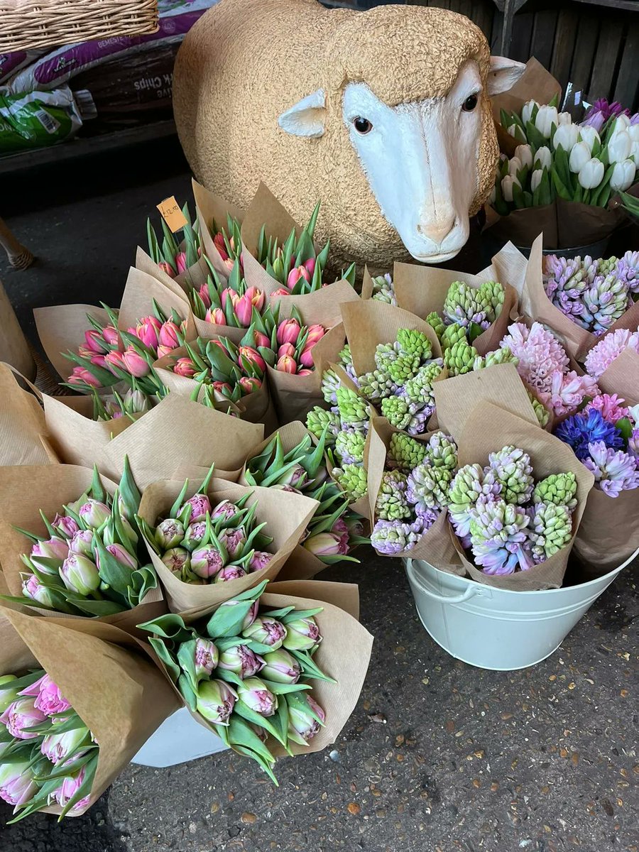 IglooFlowers's tweet image. Colourful spring flowers signifying renewal, regrowth and hope.

Looked after by Ms Sheep.

.
.
.

#springflowers #springflowersmakemehappy #macronature #instablooms #flowerphotography #floweroftheday #flowerobsession