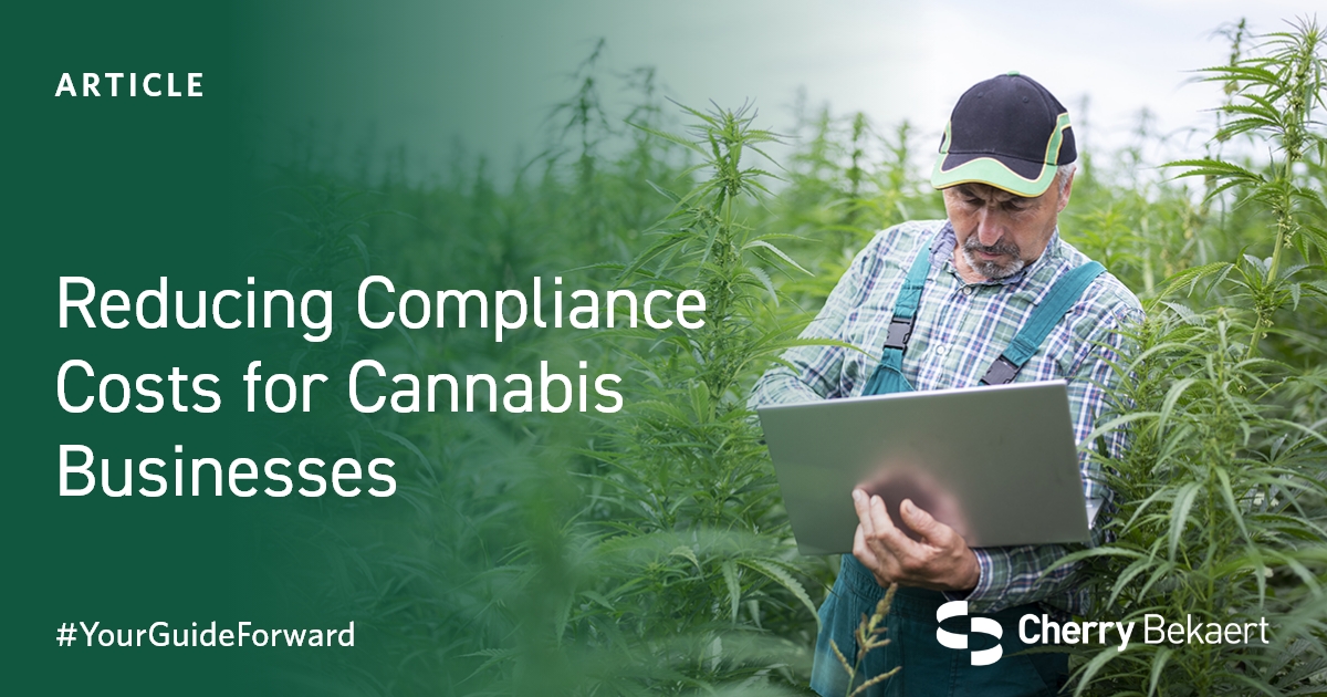 scottduda's tweet photo. Technology, collaboration, and outsourcing—how can they reduce compliance costs in the highly regulated cannabis industry? Cherry Bekaert discusses the details: https://t.co/79tpJ4iRGK 

#CannabisIndustry #Compliance #CannabisRegulation https://t.co/FN05AzCVop
